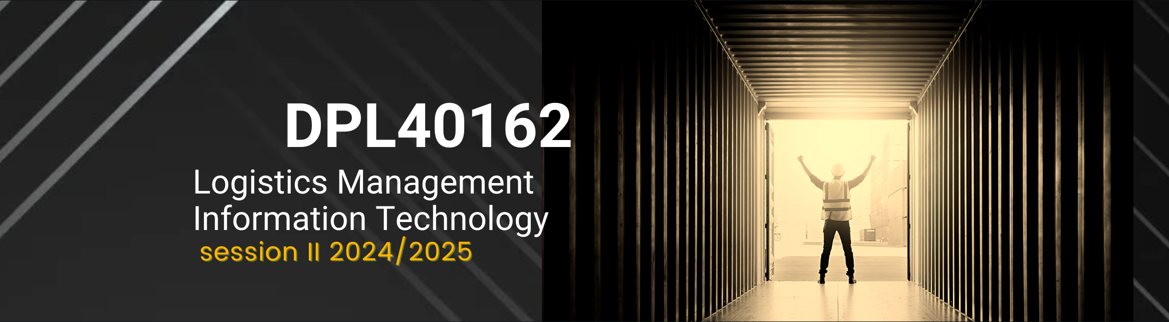 DPL40162 Logistics Management Information System