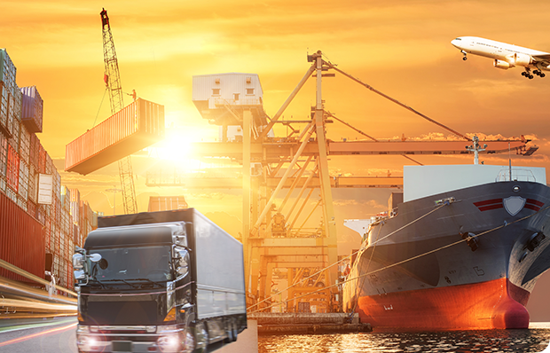 DPL50244 Business Logistics Project 2